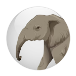 Elefante